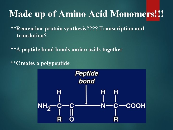 Made up of Amino Acid Monomers!!! **Remember protein synthesis? ? Transcription and translation? **A