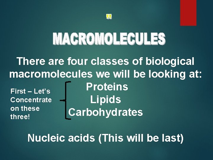 There are four classes of biological macromolecules we will be looking at: Proteins First