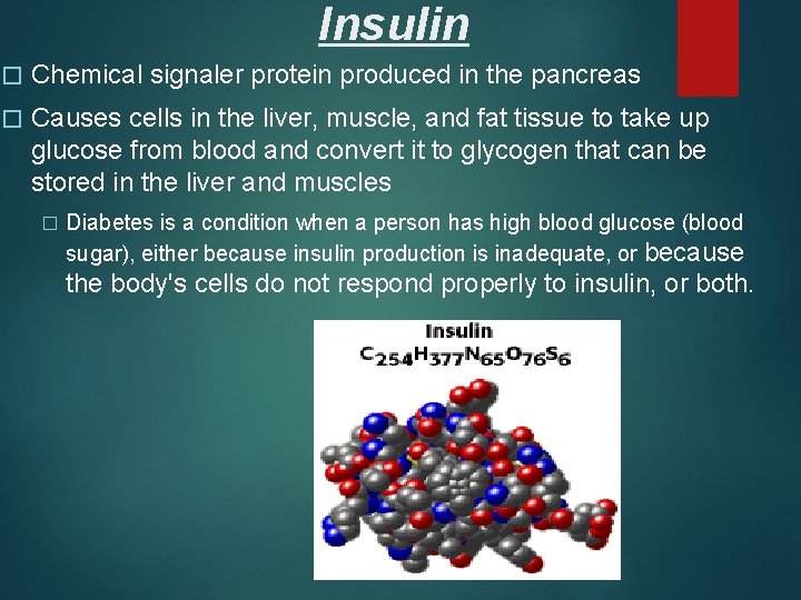 Insulin � Chemical signaler protein produced in the pancreas � Causes cells in the