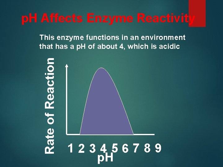 p. H Affects Enzyme Reactivity Rate of Reaction This enzyme functions in an environment