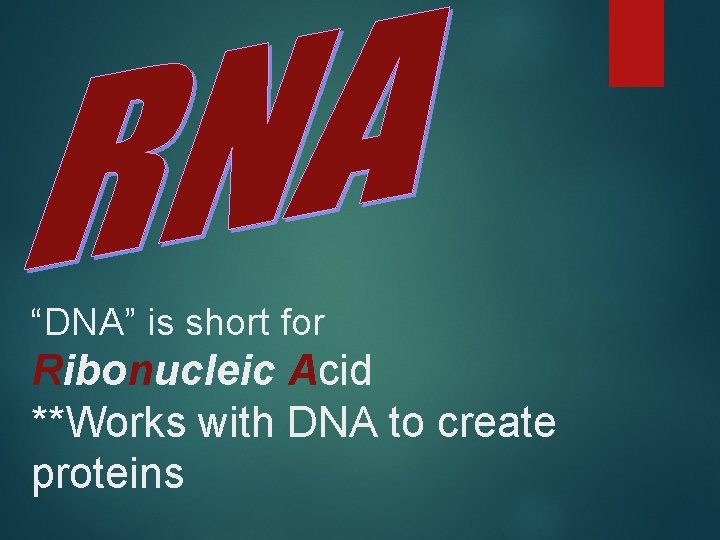 “DNA” is short for Ribonucleic Acid **Works with DNA to create proteins 