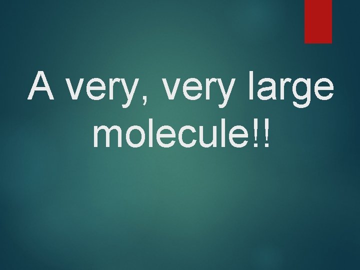 A very, very large molecule!! 