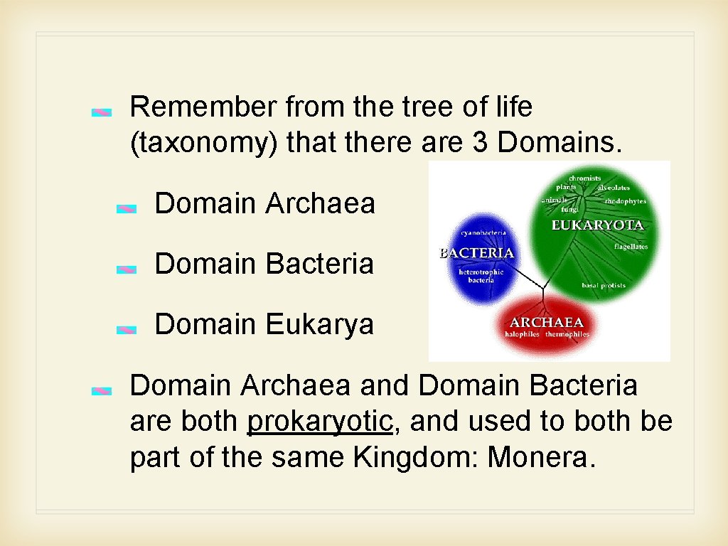 Remember from the tree of life (taxonomy) that there are 3 Domains. Domain Archaea
