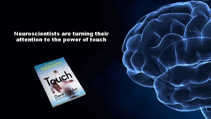 Neuroscientists are turning their attention to the power of touch 