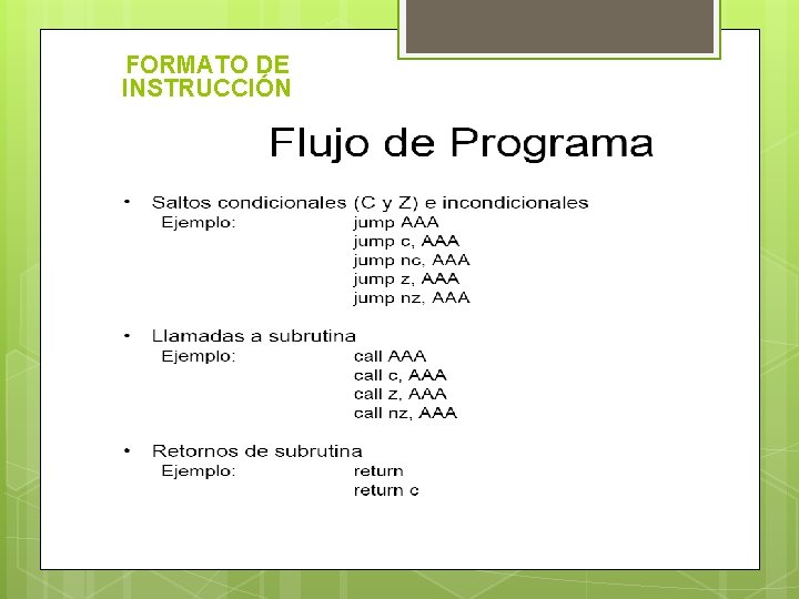 FORMATO DE INSTRUCCIÓN 