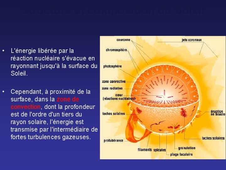 Structure et composition du Soleil • L'énergie libérée par la réaction nucléaire s'évacue en