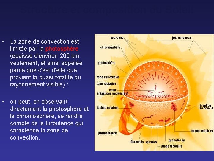Structure et composition du Soleil • La zone de convection est limitée par la