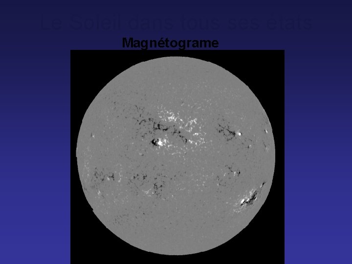 Le Soleil dans tous ses états Magnétograme 