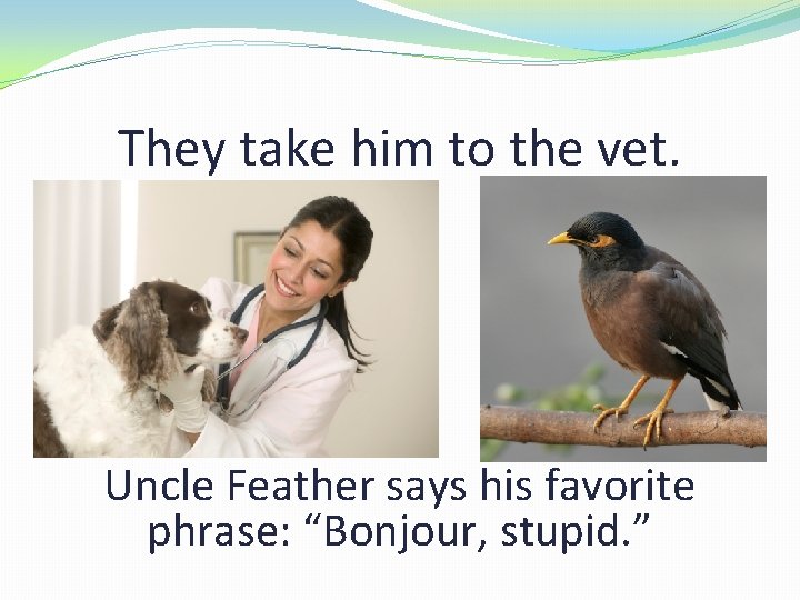 They take him to the vet. Uncle Feather says his favorite phrase: “Bonjour, stupid.