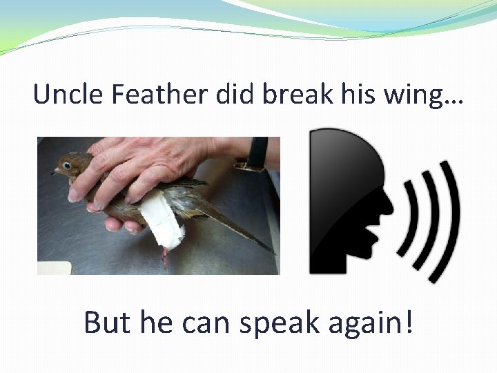 Uncle Feather did break his wing… But he can speak again! 