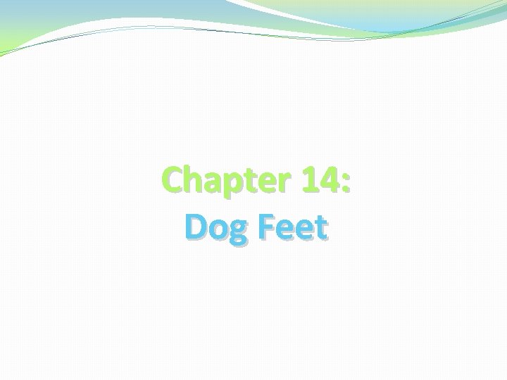 Chapter 14: Dog Feet 