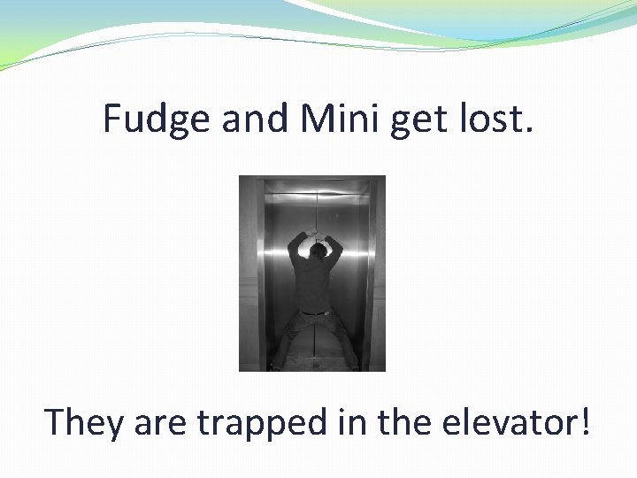 Fudge and Mini get lost. They are trapped in the elevator! 