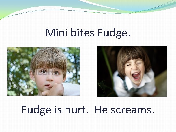 Mini bites Fudge is hurt. He screams. 