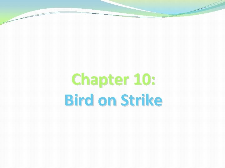 Chapter 10: Bird on Strike 