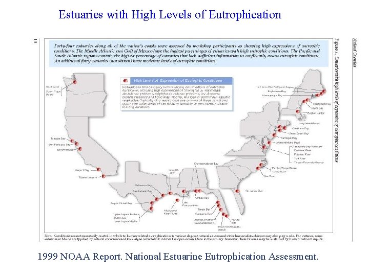 Estuaries with High Levels of Eutrophication 1999 NOAA Report. National Estuarine Eutrophication Assessment. 