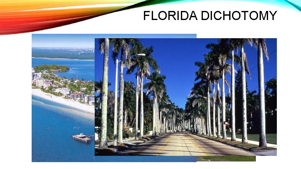 FLORIDA DICHOTOMY 