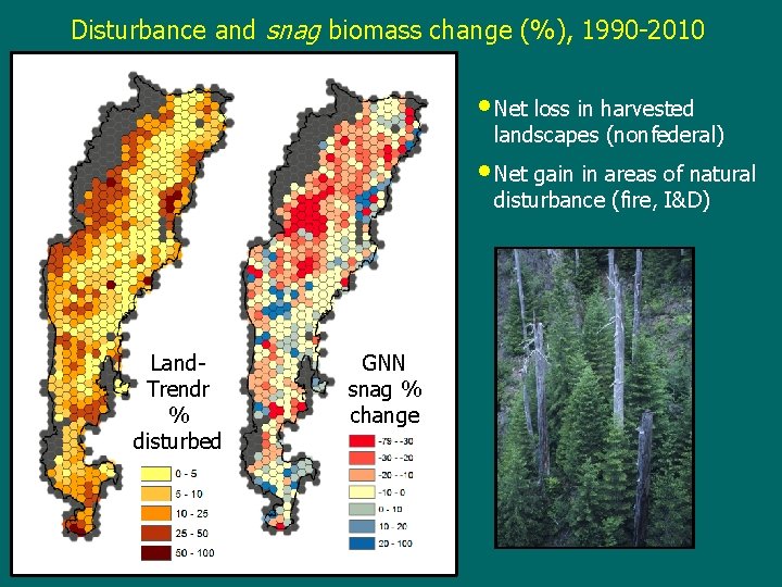 Disturbance and snag biomass change (%), 1990 -2010 • Net loss in harvested landscapes