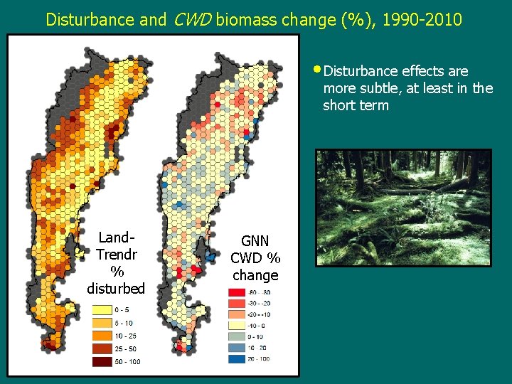 Disturbance and CWD biomass change (%), 1990 -2010 • Disturbance effects are more subtle,