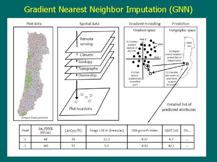 Gradient Nearest Neighbor Imputation (GNN) 