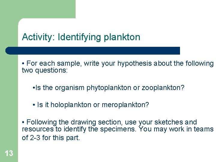 Activity: Identifying plankton • For each sample, write your hypothesis about the following two