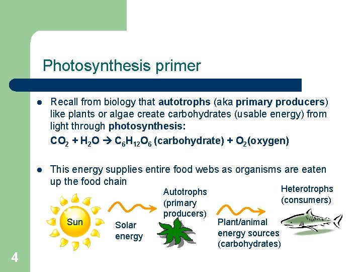 Photosynthesis primer l Recall from biology that autotrophs (aka primary producers) like plants or