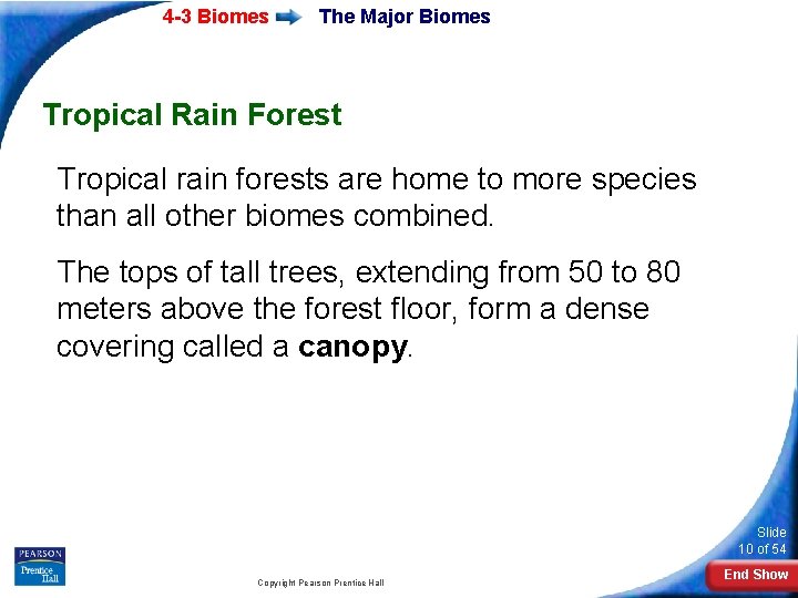 4 -3 Biomes The Major Biomes Tropical Rain Forest Tropical rain forests are home