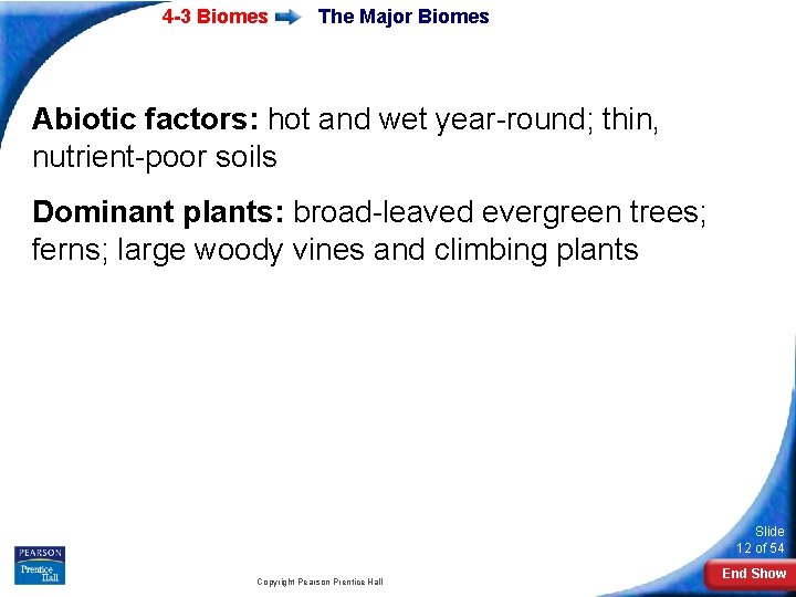 4 -3 Biomes The Major Biomes Abiotic factors: hot and wet year-round; thin, nutrient-poor