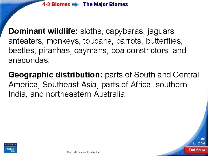4 -3 Biomes The Major Biomes Dominant wildlife: sloths, capybaras, jaguars, anteaters, monkeys, toucans,