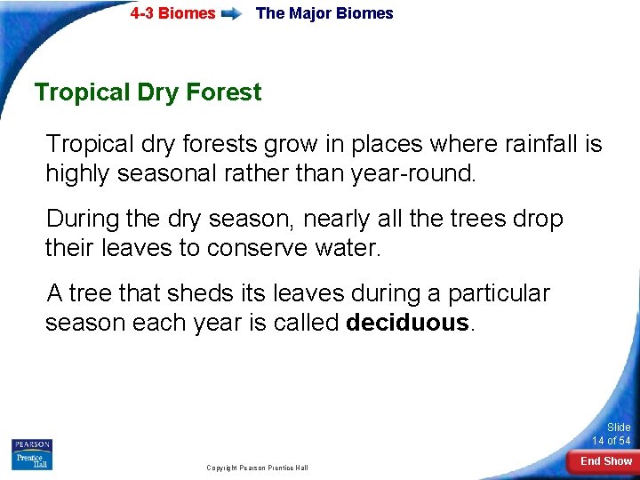 4 -3 Biomes The Major Biomes Tropical Dry Forest Tropical dry forests grow in