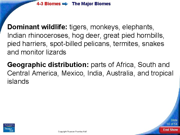 4 -3 Biomes The Major Biomes Dominant wildlife: tigers, monkeys, elephants, Indian rhinoceroses, hog