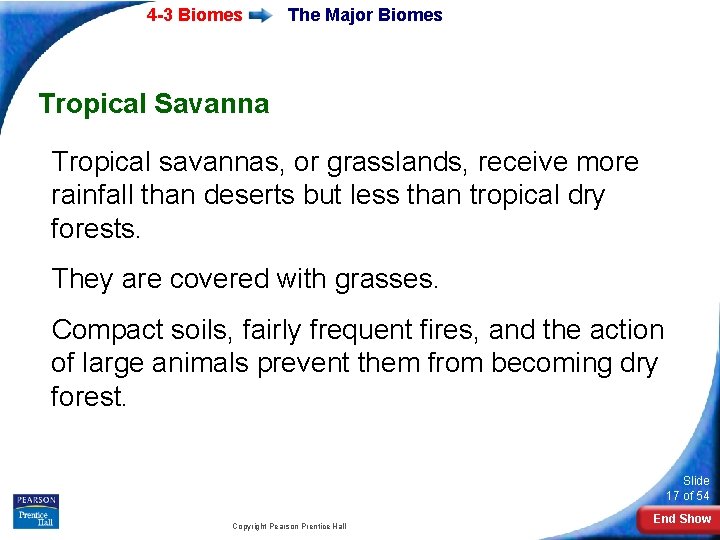 4 -3 Biomes The Major Biomes Tropical Savanna Tropical savannas, or grasslands, receive more