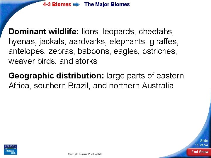 4 -3 Biomes The Major Biomes Dominant wildlife: lions, leopards, cheetahs, hyenas, jackals, aardvarks,