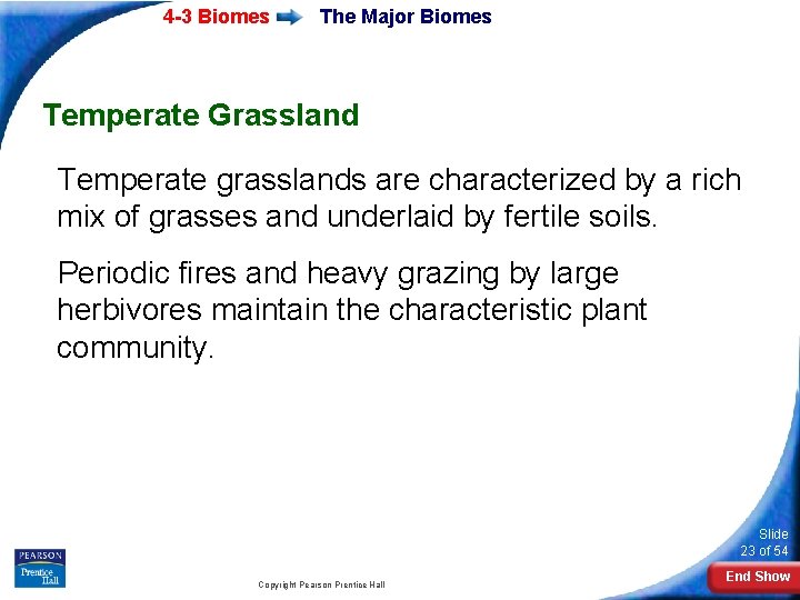 4 -3 Biomes The Major Biomes Temperate Grassland Temperate grasslands are characterized by a