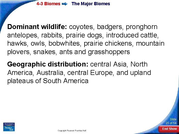 4 -3 Biomes The Major Biomes Dominant wildlife: coyotes, badgers, pronghorn antelopes, rabbits, prairie