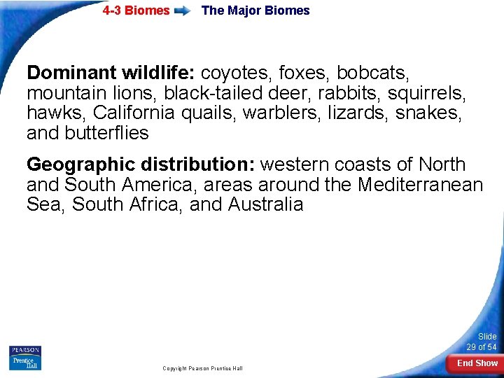 4 -3 Biomes The Major Biomes Dominant wildlife: coyotes, foxes, bobcats, mountain lions, black-tailed