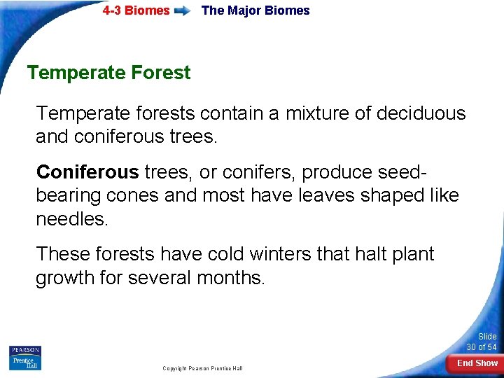 4 -3 Biomes The Major Biomes Temperate Forest Temperate forests contain a mixture of