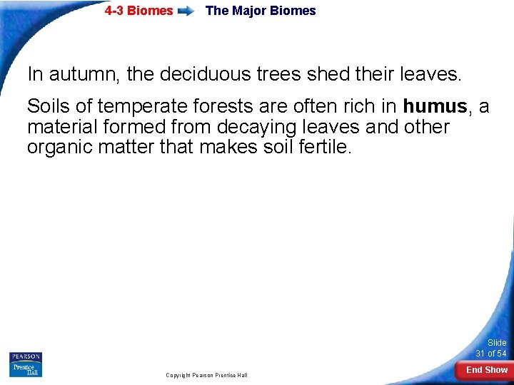 4 -3 Biomes The Major Biomes In autumn, the deciduous trees shed their leaves.