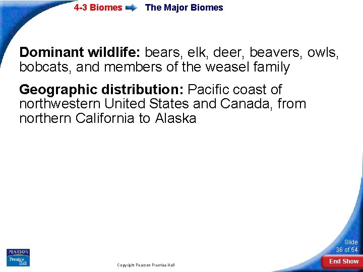 4 -3 Biomes The Major Biomes Dominant wildlife: bears, elk, deer, beavers, owls, bobcats,