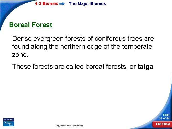 4 -3 Biomes The Major Biomes Boreal Forest Dense evergreen forests of coniferous trees