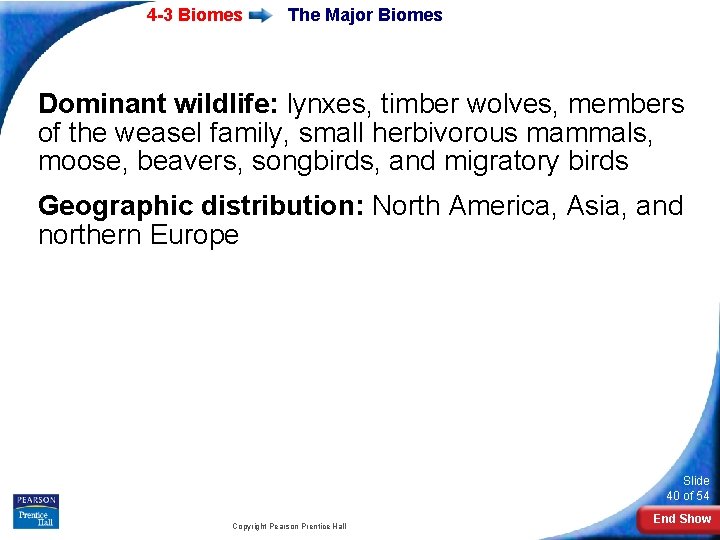 4 -3 Biomes The Major Biomes Dominant wildlife: lynxes, timber wolves, members of the
