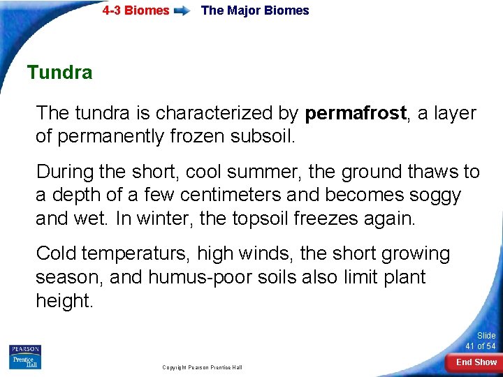 4 -3 Biomes The Major Biomes Tundra The tundra is characterized by permafrost, a