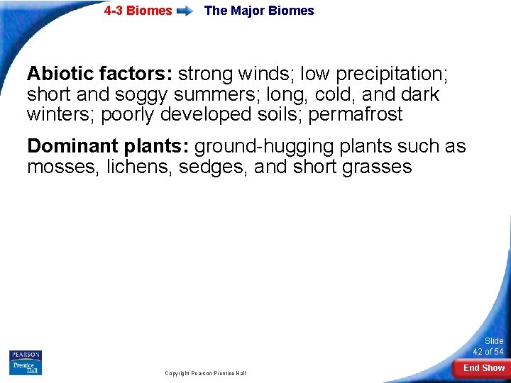 4 -3 Biomes The Major Biomes Abiotic factors: strong winds; low precipitation; short and