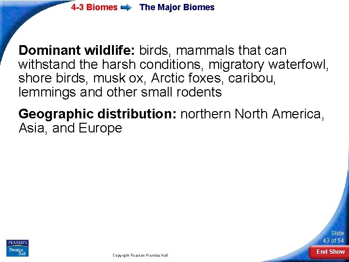 4 -3 Biomes The Major Biomes Dominant wildlife: birds, mammals that can withstand the