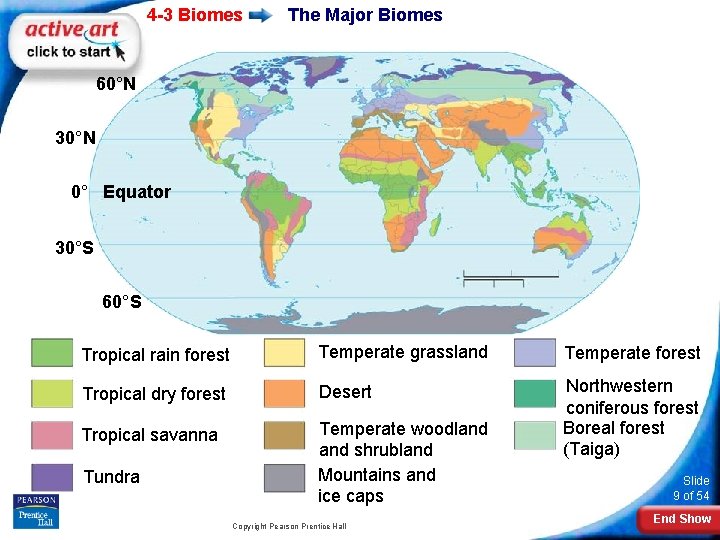 4 -3 Biomes The Major Biomes 60°N 30°N 0° Equator 30°S 60°S Tropical rain