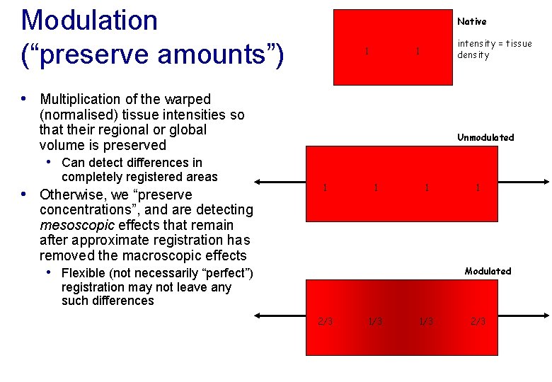 Modulation (“preserve amounts”) Native 1 intensity = tissue density 1 • Multiplication of the