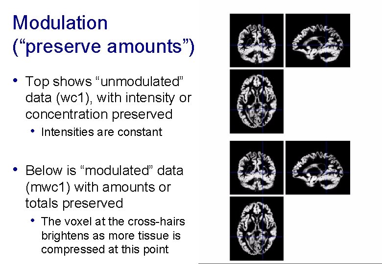 Modulation (“preserve amounts”) • Top shows “unmodulated” data (wc 1), with intensity or concentration