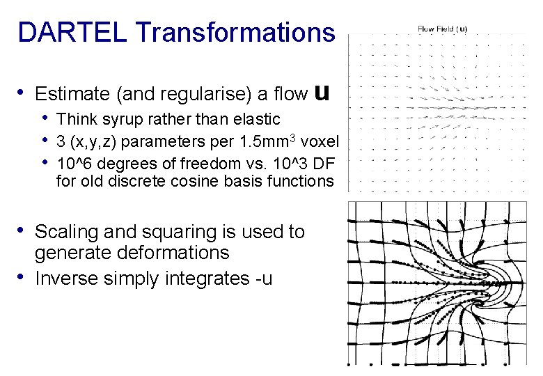 DARTEL Transformations • Estimate (and regularise) a flow u • Think syrup rather than