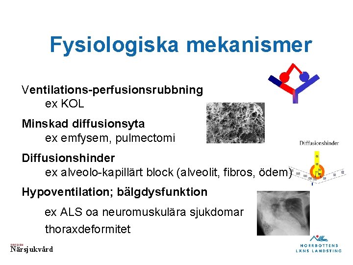 Fysiologiska mekanismer Ventilations-perfusionsrubbning ex KOL Minskad diffusionsyta ex emfysem, pulmectomi Diffusionshinder ex alveolo-kapillärt block