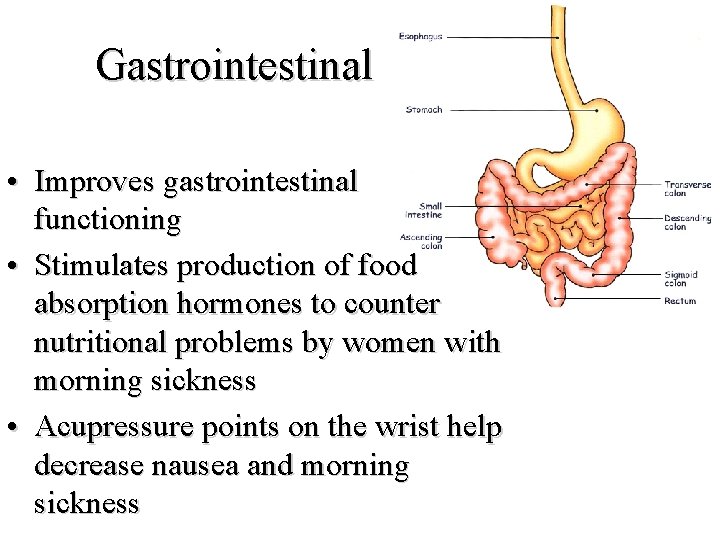 Gastrointestinal • Improves gastrointestinal functioning • Stimulates production of food absorption hormones to counter