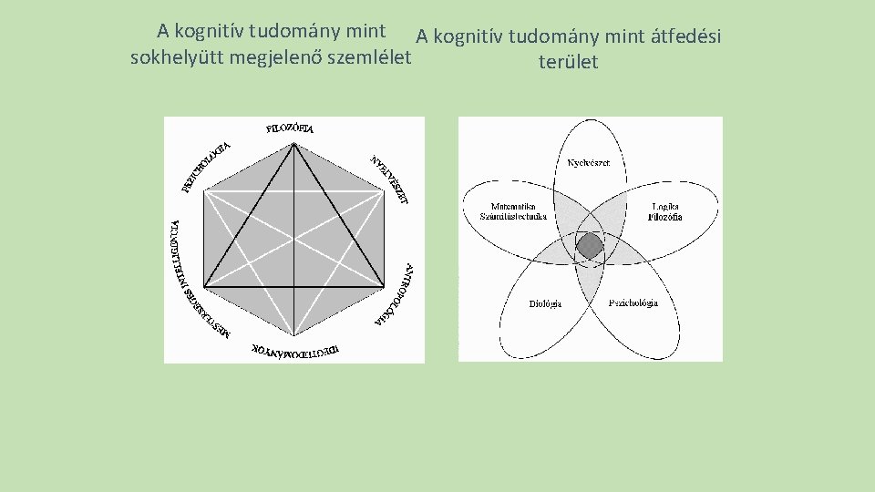 A kognitív tudomány mint átfedési sokhelyütt megjelenő szemlélet terület 